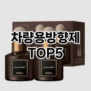 차량용방향제 인기 TOP5 오늘만 이가격