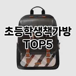 초등학생책가방 인기 TOP5 오늘만 이가격