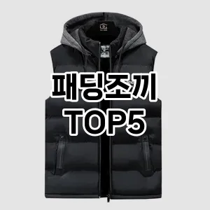 패딩조끼 인기 TOP5 이벤트 할인